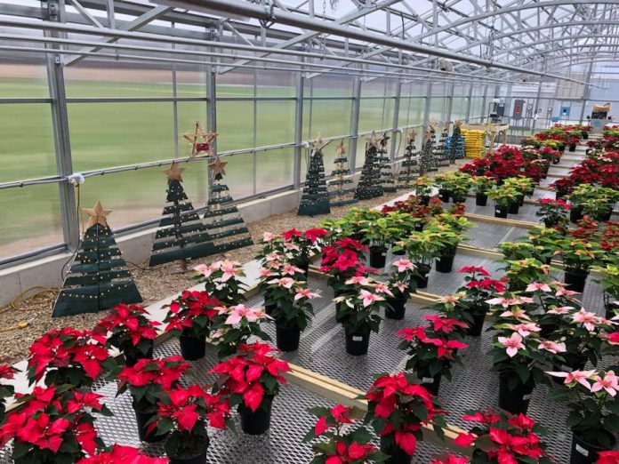 Northwestern Greenhouse Northwestern Greenhouse