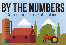 Ag by the numbers banner