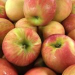 Disease-resistant apples perform better than old varieties apples