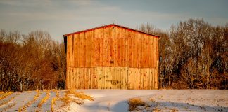 snowy barn