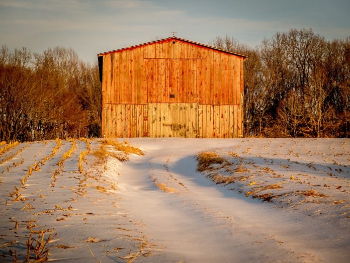 snowy barn snowy barn