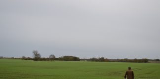 man walking in a field