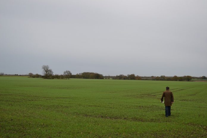 man walking in a field