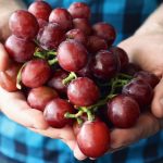 Food industry certification open to students grapes