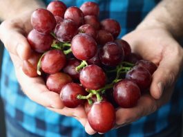 Food industry certification open to students grapes
