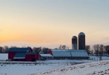 snowy farmland