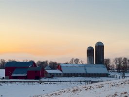 snowy farmland
