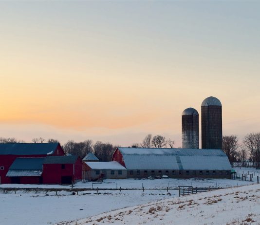 snowy farmland