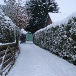 Take the steps to ensure healthier watersheds and farms year round snowy driveway