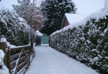 How to choose the best deicer for your needs snowy driveway