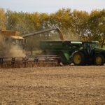 Grain markets are looking for Mr. Good News soybean harvest