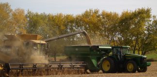 soybean harvest