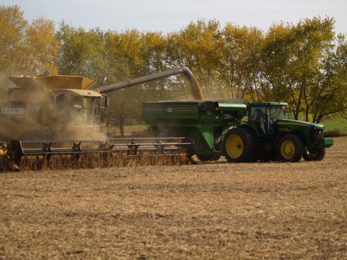 soybean harvest soybean harvest