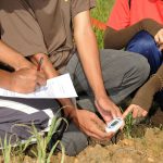 Ohio Agricultural Council accepting applications for scholarship students