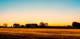 sunset on a farm