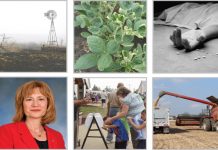 Farm and Dairy’s top 10 stories of 2017 2017 top story web banner