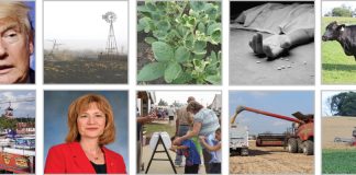 2017 top story web banner