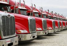 Livestock haulers get waiver from Hours of Service rules trucks