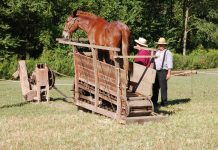 Animal power was a progression in time treadpower