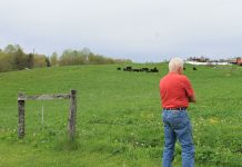 5 things to leave behind in 2017 Trends to leave behind