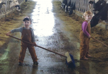 Self-discipline is built into farm life farm kids