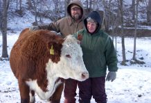 Diversity is key for Ohio cattle producers Jeff and Lou Ellen Harr, J&L Cattle