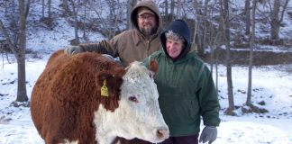 Diversity is key for Ohio cattle producers Jeff and Lou Ellen Harr, J&L Cattle