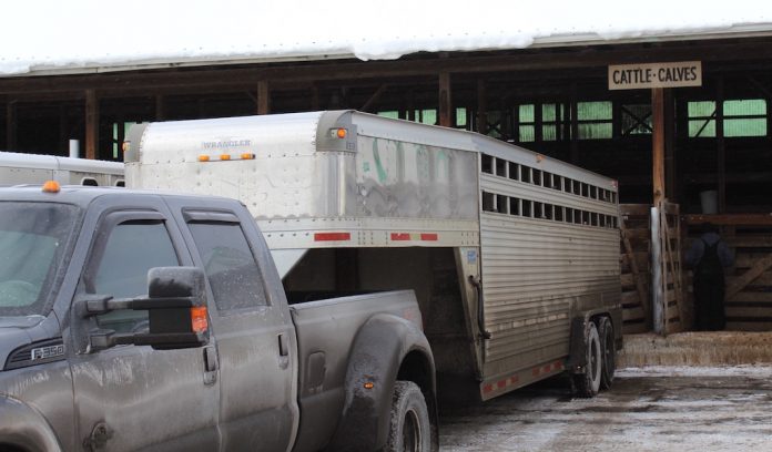 Kidron unloading livestock unloading