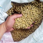 Plant resources help ensure ag’s future Seed selection