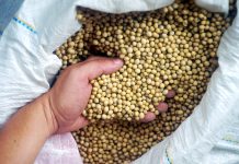 Plant resources help ensure ag’s future Seed selection