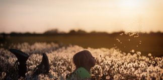 Open fields afforded a new learning adventure each day