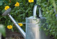 How to grow a better garden this year watering can