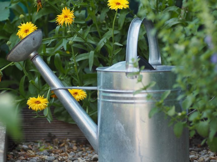 watering can