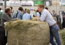 Ohio grazing conference focuses on soil health