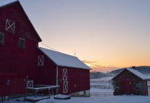 10 reasons to embrace this cold snap snowy barn