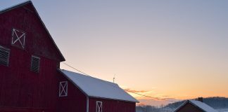 snowy barn