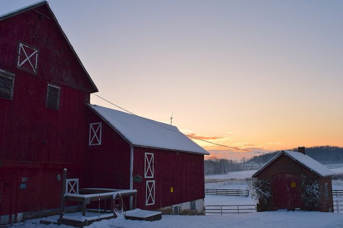 snowy barn snowy barn