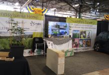 Pa. hemp industry makes plans to lead US Pennsylvania hemp