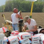 How to select the best seed for your farm Seed selection 2018