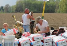 How to select the best seed for your farm Seed selection 2018