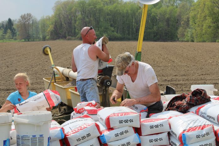 Seed selection 2018 Seed selection 2018