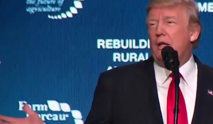 President Donald Trump