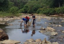 Ohio’s Scenic Rivers program turns 50, worth a celebration scenic rivers