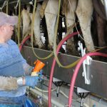 The Future of Dairy Scholarship Returns for Third Year Milking parlor