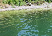 Harmful Algal Bloom Research Initiative receives $3.5 million Lake Erie algal bloom