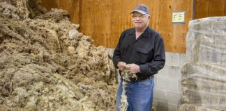 Stanley Strode Mid-States Wool