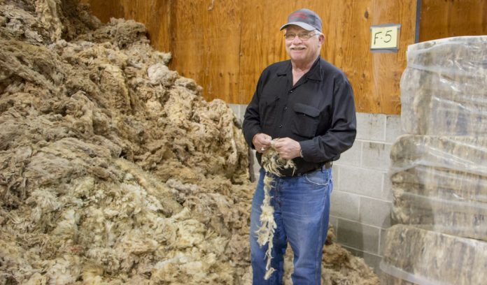 Stanley Strode Mid-States Wool