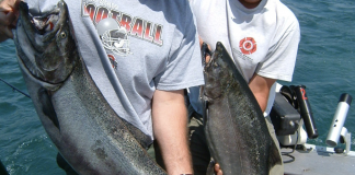 The best places to battle freshwater fish fishing