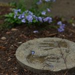 6 easy winter gardening projects for kids gardening children