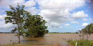 More flood aid announced for Holmes Co. farmers flood